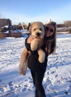 Dog Breeder Massachusetts 