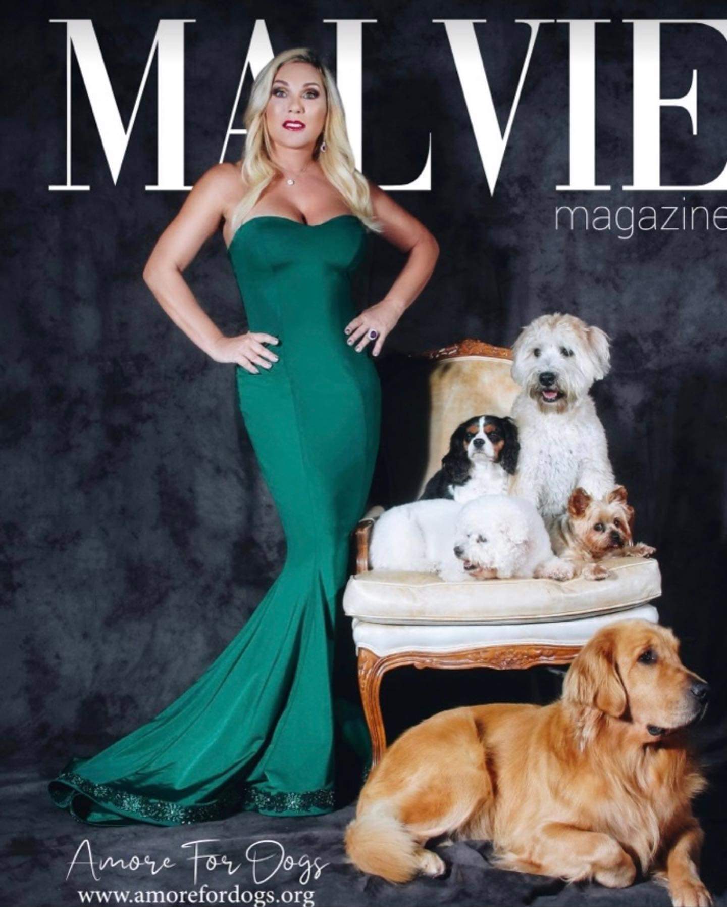 Dog Breeders Massachusetts 